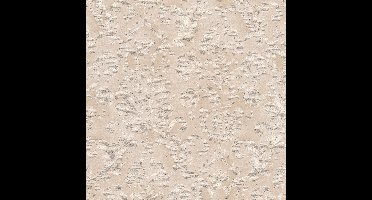 AS Creation Belle Epoque Behang 33868-1 Glitter
