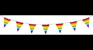 Vlaggenlijn Regenboog 10 meter