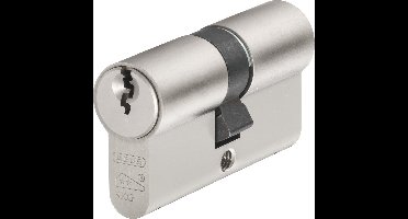 Cilinder E60Np 30/30/05 - E60NP 30/30 5 stuks gelijksluitend