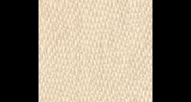 GRASPLUIMEN BEHANG | Linnenlook - Beige Geel - A.S. Création Hygge III