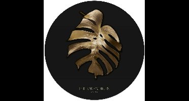 Glasschilderij Monstera Goud - Ø 50 - Glas - REINDERS