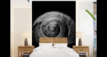 Behang - Fotobehang Slak - Dieren - Zwart - Wit - Slakkenhuis - Breedte 160 cm x hoogte 220 cm