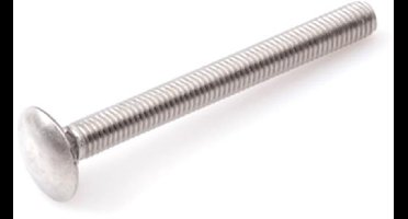 Slotbout - M5 x 30 mm - DIN603 - RVS (100 stuks)