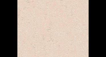 BETONLOOK BEHANG - Beige Roze - Industrieel behang - AS Creation Blooming