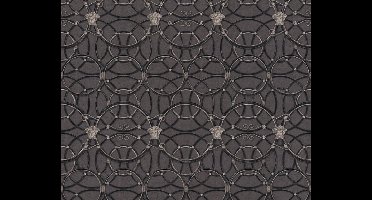 KLASSIEK MODERN BEHANG - Zwart Zilver - AS Creation Versace 4