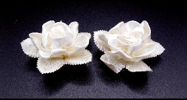 Curlies bloem crèmekleur met getande bladeren