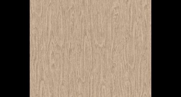 HOUTMOTIEF BEHANG - Beige Bruin - Industrieel behang - AS Creation Versace 4