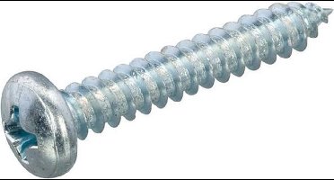 Hoenderdaal Plaatschroef cilinderkop phillips verzinkt 3.5 x 38mm