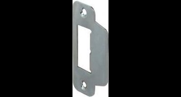 Lips Sluitplaat Spt2131