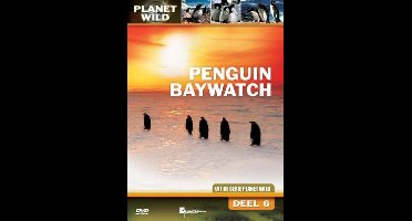 Penguin Baywatch - Planet Wild