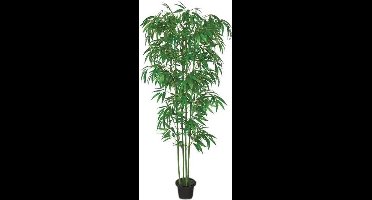 Bamboo 180 cm