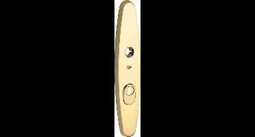 SKG3 elips schild buiten PC72 mm m/ KTB messing ongelakt