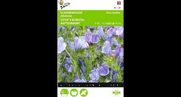 2 stuks Echium, Slangenkruid Blue Bedder