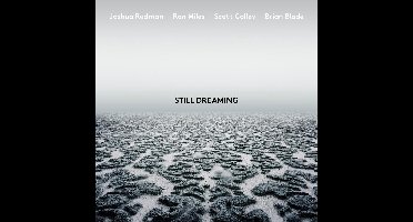 Still Dreaming (Feat. Ron Miles & Scott Colley & Brian Blade)
