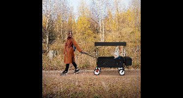Core® Transportwagen - Steekwagen - Meubelroller - Zwart - 170cm x 53cm x 104cm