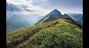 Komar Pure | green vein | berglandschap | fotobehang op vlies 400x250cm
