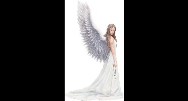 Nemesis Now - Spirit Guide Beeld/figuur - Engel - Multicolours