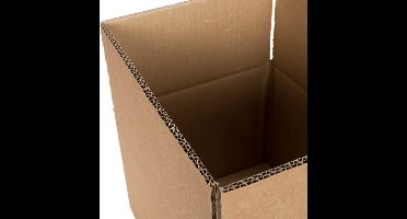 Kartonnen dozen dubbelgolf 310 x 220 x 120 mm | 20 stuks