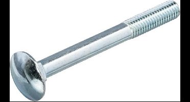 Slotbout - M6 x 16 mm - DIN603/555 - Verzinkt (200 stuks)