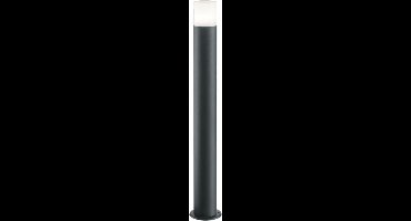 TRIO HOOSIC - Vloerlamp - Antraciet - excl. 1x E27 4,9W - Staande lamp - Niet dimbaar - Buitenverlichting - IP44