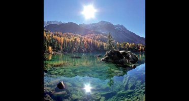 Llewellyn - Fall Dvd Card (DVD)