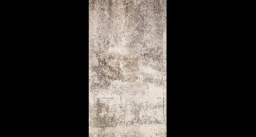VINTAGE BETON FOTOBEHANG | Herhaalbaar Patroon - 1,59 x 2,80 meter - A.S. Création Metropolitan Stories "The Wall"