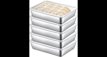 Boraboi® Set van vijf stapelbare vershouddozen van roestvrij staal voor koelkast,Zilver,250*200*50 mm
