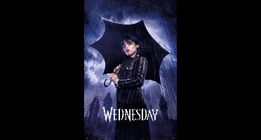 Poster Wednesday - Umbrella 61x91,5cm