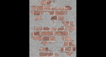 Reflets baksteen/beton rood/grijs muur (vliesbehang, rood)
