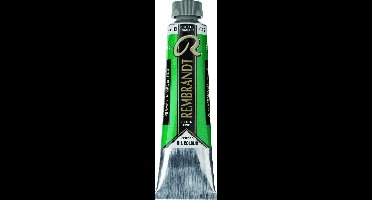 Rembrandt Olieverf | Permanent Green Deep (619) 15 ml