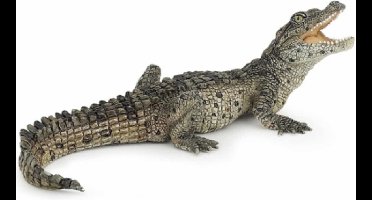 Speelfiguur - Reptiel - Krokodil - Jong - Groen