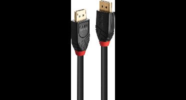 LINDY 41169 DisplayPort-kabel DisplayPort Aansluitkabel DisplayPort-stekker, DisplayPort-stekker 10.00 m Zwart Vergulde