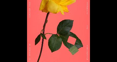 Caroline Shaw: Rectangles and Circumstance