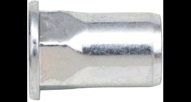Wurth - Bolkop, rvs, A2, gedeelt. zeskantschacht, open - Blindklinkmoer gedeeltelijke zeskantschacht platkop - x 100 st - Sleutelwijdte 11 mm