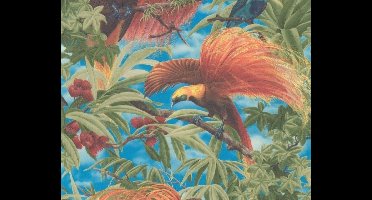 Paradijsvogel behang jungle 6954-13