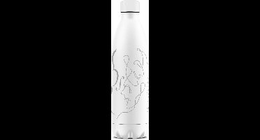 BWT Climate Bottle | Waterfles | Dubbelwandig roestvrij staal – houdt dranken tot 6 uur warm of koud | Lekvrije roestvrijstalen schroefdop | Onbreekbaar en smaakneutraal | BPA-vrij