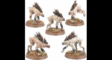 T'au Empire Kroot Hounds