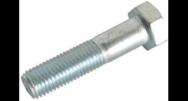 Moerbout 10.9 M14x80mm