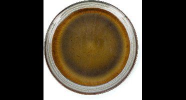 Safaary - The Comporta Salad Plate - M