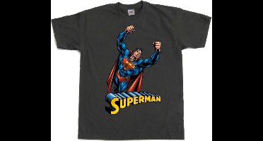 DC Comics Superman Heren Tshirt -L- Flying Grijs
