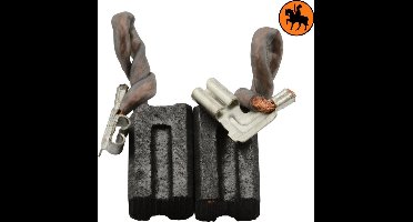 Koolborstelset voor DeWalt DW255C - 6,3x8x13mm