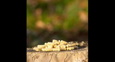 CJ Wildlife 3kg Insectentraktatie voor Tuinvogels - Voedzaam - Vet & Eiwitrijk Vogelvoer voor Voedersilo - Tuinvogelvoer voor Buitenvogels