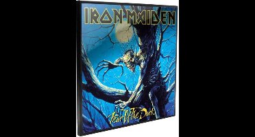 Nemesis Now Iron Maiden Heldere afbeelding Fear of the Dark Multicolours