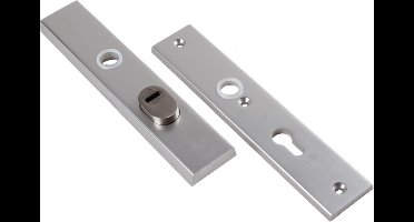 Ami langschild veiligheid 251/50/15 bu kerntrek pc55 bi blind f1 dd. 38-45 mm ( a 1 pr )
