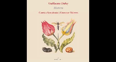 Cantica Symphonia - Guillaume Dufay: Motets (CD)