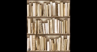 Dutch Wallcoverings Vliesbehang - boekenkast - beige