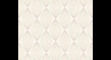 GRAFISCH MODERN BEHANG - Beige Creme Zilver Metallic - AS Creation Esprit 13
