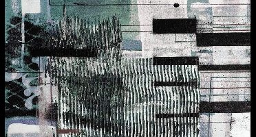 Komar Pure | fringe upswept | grijstingen | fotobehang op vlies 500x280cm