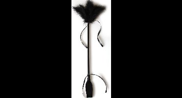 Secretplay - Black Whip & Feather