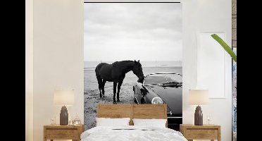 Behang - Fotobehang Paard - Auto - Zwart - Wit - Breedte 145 cm x hoogte 220 cm